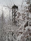 Aussichtsturm Hochsolling (20)